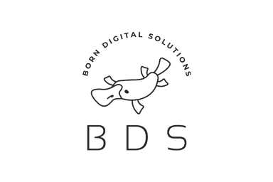 BDS logo